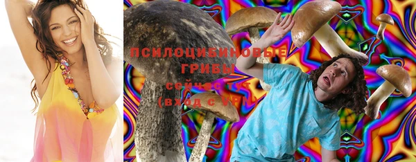 2c-b Белокуриха