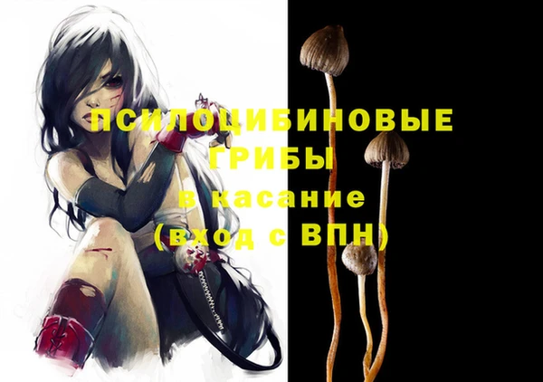 2c-b Белокуриха