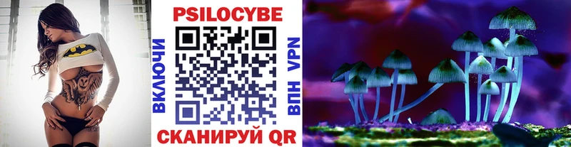 закладка Тогучин Псилоцибиновые грибы Magic Shrooms